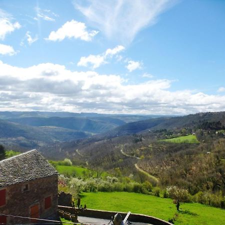 L 'Oustal De Sophie En Aveyron, A Montjaux Villa Exterior foto